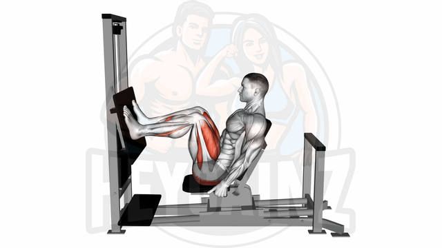 Exercise Image