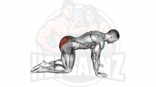 Exercise Image