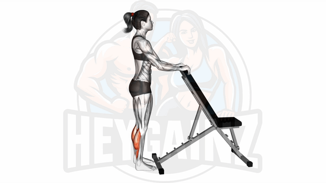 Exercise Image