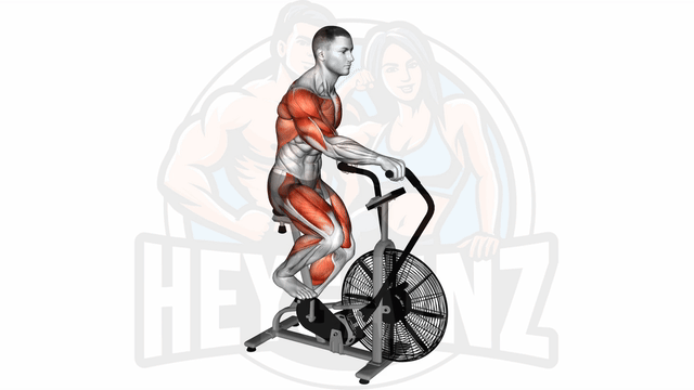 Exercise Image