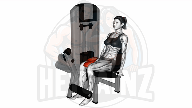Exercise Image