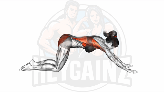 Exercise Image
