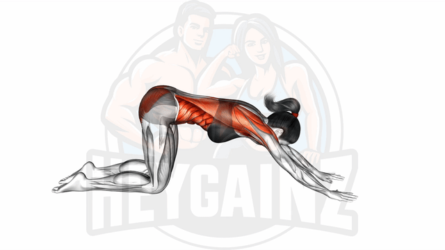 Exercise Image
