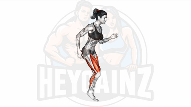 Exercise Image