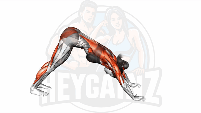 Exercise Image