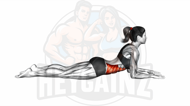 Exercise Image